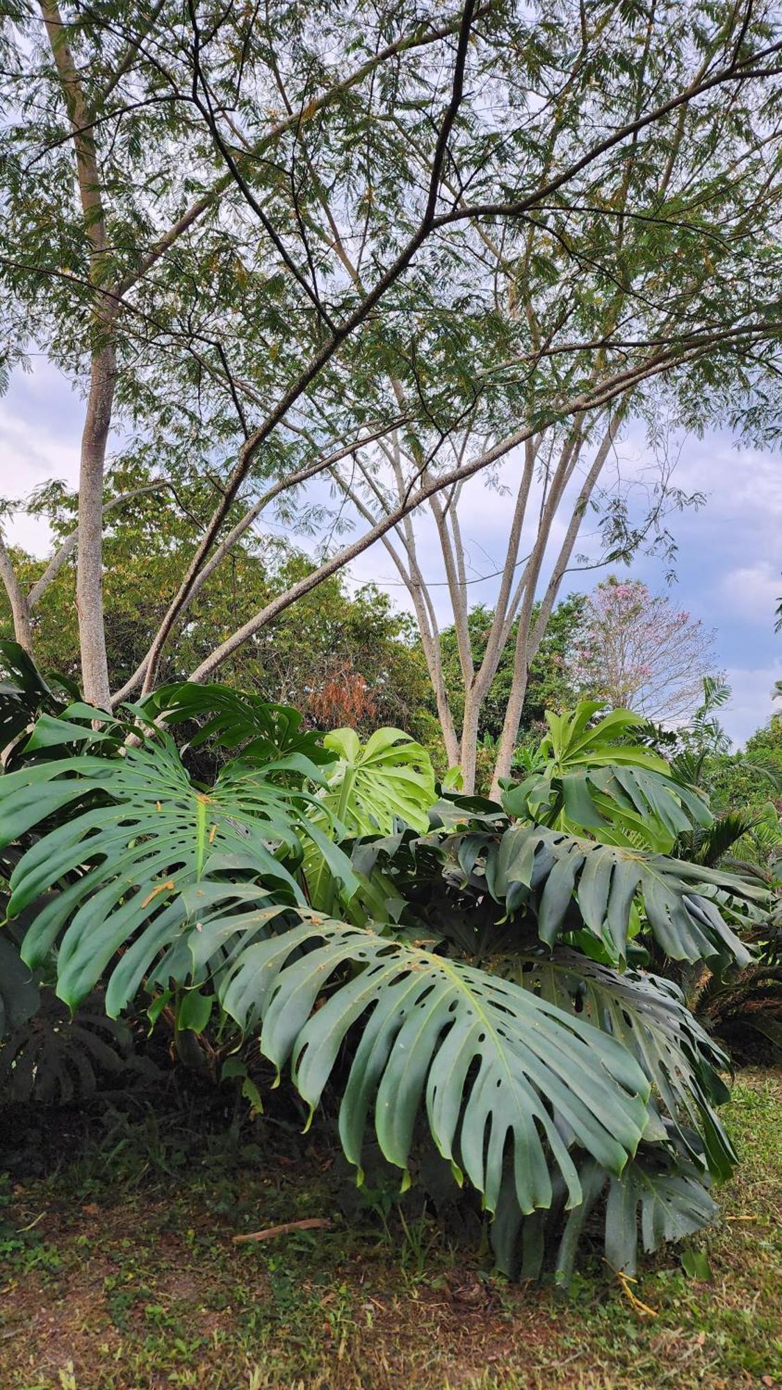 Uko Urban Ekolodge Armênia Exterior foto